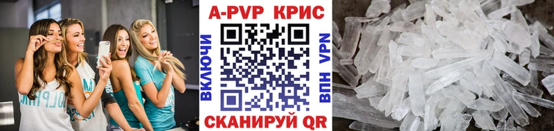 закладка  Александровское  А ПВП СК КРИС 