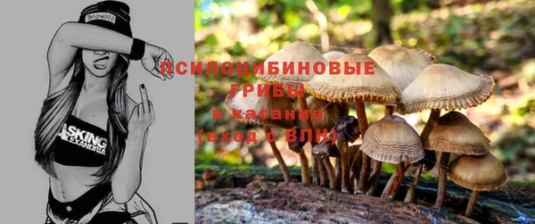 спайс Алексин