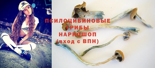 спайс Алексин
