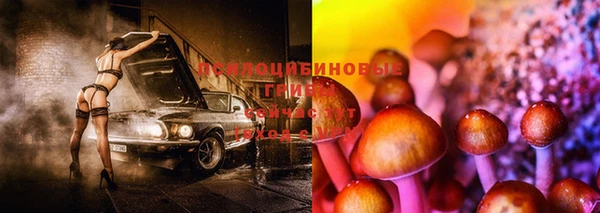спайс Алексин