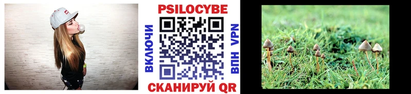 как найти закладки  Александровское  KRAKEN ССЫЛКА  Псилоцибиновые грибы ЛСД 