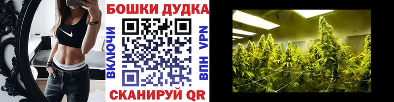 Бошки марихуана Bruce Banner  Александровское 